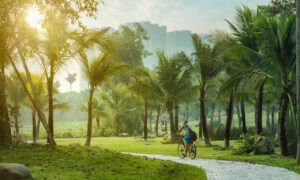 CẢNH QUAN TẠI ECO RETREAT